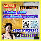 Apvp Eutylone CAS 802855-66-9 vendors+85251929245 Sylhet