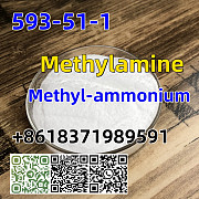 CAS 593-51-1 Methylamine hydrochloride LT-S9151 good price with high qualtiy Днепропетровск