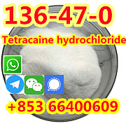 Quality 99.9% Purity Pure Standard Tetracaine HCl Powder CAS 136-47-0 Beijing