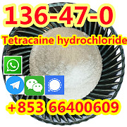 Quality 99.9% Purity Pure Standard Tetracaine HCl Powder CAS 136-47-0 Beijing