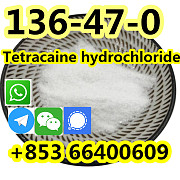 Quality 99.9% Purity Pure Standard Tetracaine HCl Powder CAS 136-47-0 Пекин