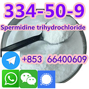 Quality Healthand high Pure Supplement Hordenine HCl Powder CAS 334-50-9 Beijing