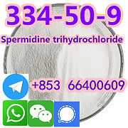 Quality Healthand high Pure Supplement Hordenine HCl Powder CAS 334-50-9 Beijing