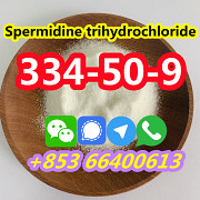 Good Quality Best Price CAS 334-50-9 Safety shipping Spermidine trihydrochloride Москва