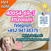 40054-69-1 Etizolam Перт