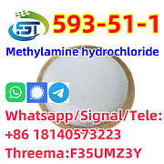 CAS 593-51-1 Methylamine hydrochloride LT-S9151 good price with high qualtiy Linz