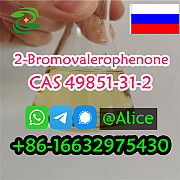 Reliable 2-Bromovalerophenone CAS 49851-31-2 2-Bromo-1-phenyl-pentan-1-one Vendor Wuhan