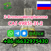 Reliable 2-Bromovalerophenone CAS 49851-31-2 2-Bromo-1-phenyl-pentan-1-one Vendor Wuhan