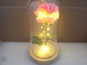 Роза с подсветкой в колбе Липецк