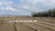 Расчистка территорий от деревьев, кустарников и корней Москва
