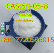 High Quality CAS 51-05-8 Hydrochloride HCl Diphenhydramine Procaine Москва