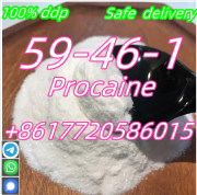 PROCAINE SUPPLIERS IN CHINA WITH CAS 59-46-1 Москва