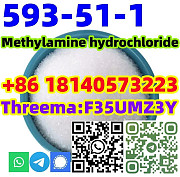 Buy Hot sale CAS 593-51-1 Methylamine hydrochloride with Safe Delivery Pago Pago
