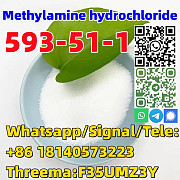 Buy Hot sale CAS 593-51-1 Methylamine hydrochloride with Safe Delivery Pago Pago