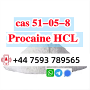 Cas 51-05-8 Procaine Hcl Procaine Hydrochloride large stock Санкт-Петербург