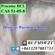 3ma_BUFM9WZT Warehouse delivery CAS 51-05-8 Procaine HCL Москва