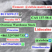 3ma_BUFM9WZT Warehouse delivery CAS 51-05-8 Procaine HCL Москва