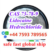 Cas 73-78-9 Lidocaine Hydrochloride Санкт-Петербург