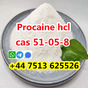 Cas 51-05-8 Procaine Hcl Procaine Hydrochloride global ship Зволле