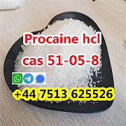 Cas 51-05-8 Procaine Hcl Procaine Hydrochloride global ship Zwolle