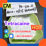 Factory Supply CAS 94-24-6 High Quality Tetracaine Beijing