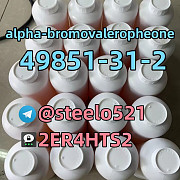 CAS 49851-31-2 2-Bromovalerophenone Best Price tele@steelo521 Guangzhou