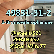 CAS 49851-31-2 2-Bromovalerophenone Best Price tele@steelo521 Гуанчжоу