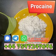 Order procaine powder cas 59-46-1 procaine base price London