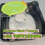 Buy procaine hcl powder from factory supplier cas 51-05-8 London