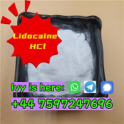 Wholesale lidocaine hcl powder cas 73-78-9 Лондон