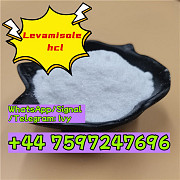 Buy levamisole hcl powder cas 16595-80-5 tetramisole hcl 5086-74-8 London