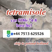 Cas 5086-74-8 tetramisole hcl base powder door to door ship worldwide Arnhem