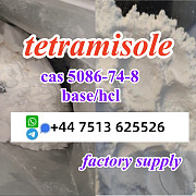 Cas 5086-74-8 tetramisole hcl base powder door to door ship worldwide Arnhem