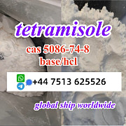 Cas 5086-74-8 tetramisole hcl base powder door to door ship worldwide Арнем