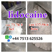 High quality cas 137-58-6 Lidocaine base cas 73-78-9 Lidocaine hcl global ship Maastricht