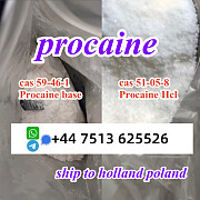 Cas 59-46-1 Procaine base powder Procaine Hcl safe ship to Holland Poland Хертогенбос