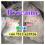 Cas 59-46-1 Procaine base powder Procaine Hcl safe ship to Holland Poland 's-Hertogenbosch