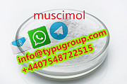 Good effect Muscimol cas2763-96-4 +4407548722515 Санкт-Петербург