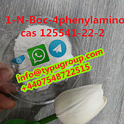 Factory 1-N-Boc-4phenylamino cas125541-22-2 +4407548722515 Санкт-Петербург