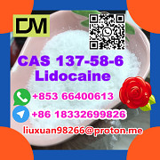 Anufacturer Supply Raw Material CAS 137-58-6 Lidocaine Hohhot