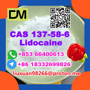 Anufacturer Supply Raw Material CAS 137-58-6 Lidocaine Hohhot