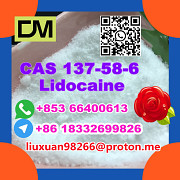 Anufacturer Supply Raw Material CAS 137-58-6 Lidocaine Hohhot