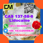 Anufacturer Supply Raw Material CAS 137-58-6 Lidocaine Hohhot