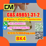 CAS 49851-31-2 2-Bromo-1-phenyl-1-pentanone Beijing