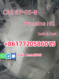 Cas 51-05-8 Procaine Hydrochloride Top Quality Москва