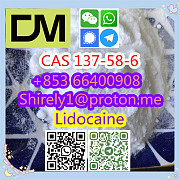 CAS 137-58-6 Lidocaine high quality good price hot sale stock Shijiazhuang