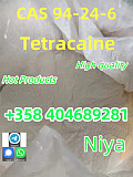 Factory Supply CAS 94-24-6 High Quality Tetracaine Москва