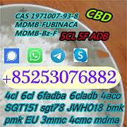 Sgt151 SGT sgt78 5CLADB 5fadba 4fadb 6cl 4cladb 5CL-adbb Халапа