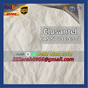 Supply Closantel CAS 57808-65-8 Anthelmintics powder Сент-Джонс