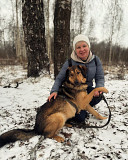 Идеальная пара классных собак Санкт-Петербург